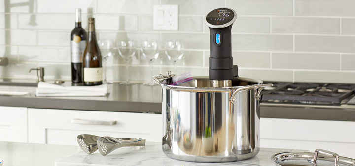 Reviews of the Best Sous Vide Devices