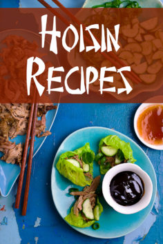 Hoisin Recipes: A Cookbook Focusing on Dishes Using This Fragrant, Sweet & Savory Sauce