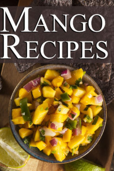 Mango Recipes