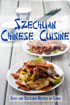 Szechuan Chinese Cuisine: Spicy and Delicious Recipes of China